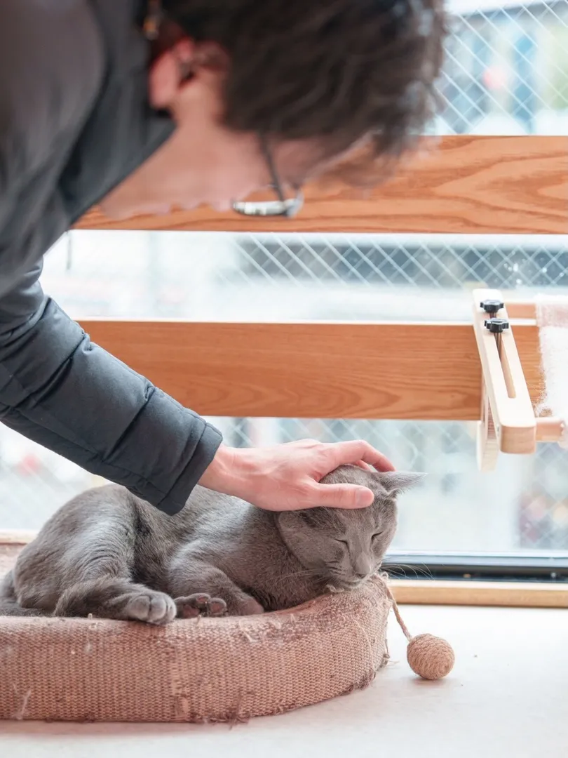 投稿の写真2