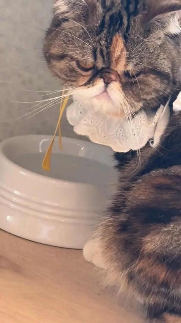 投稿の写真