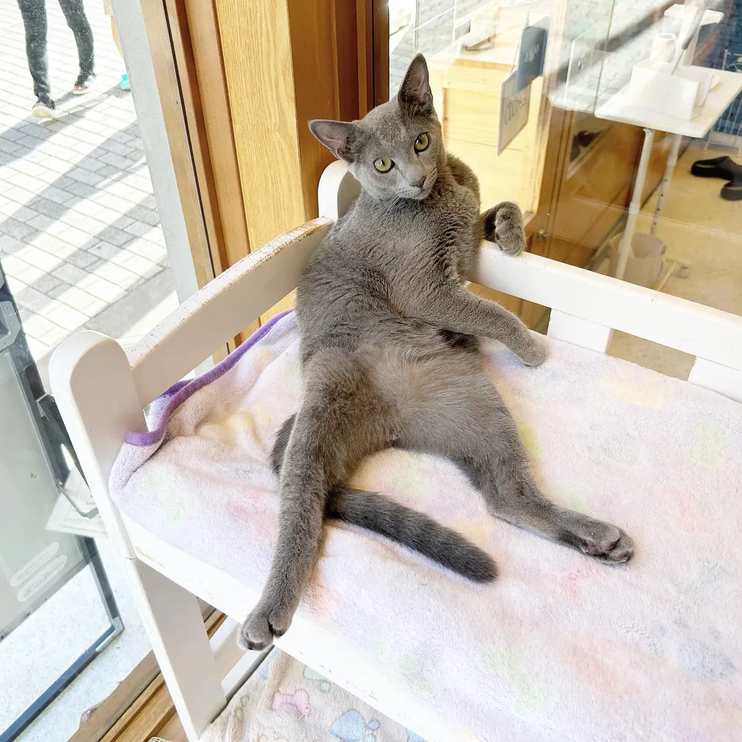 投稿の写真3
