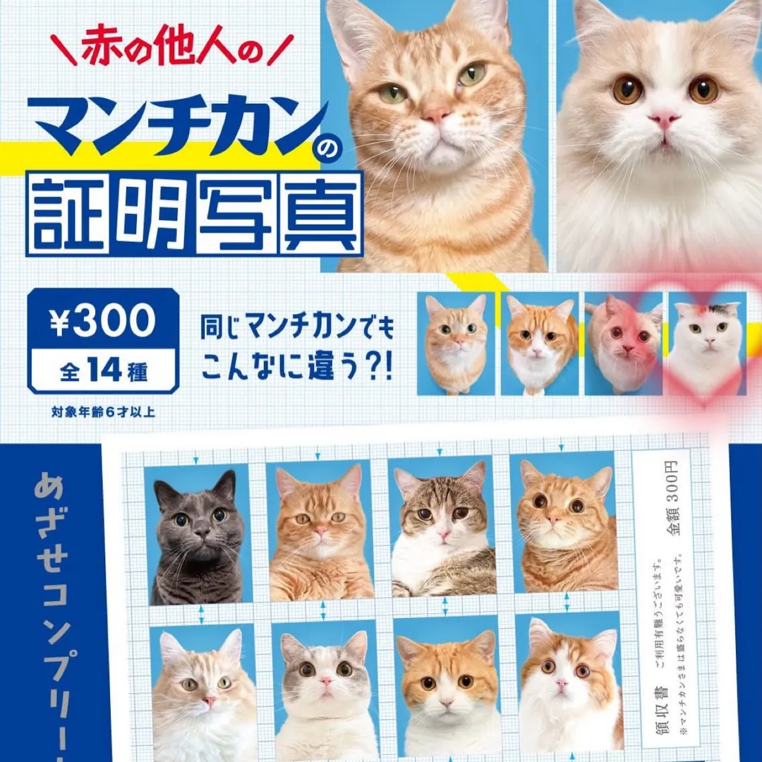 投稿の写真3
