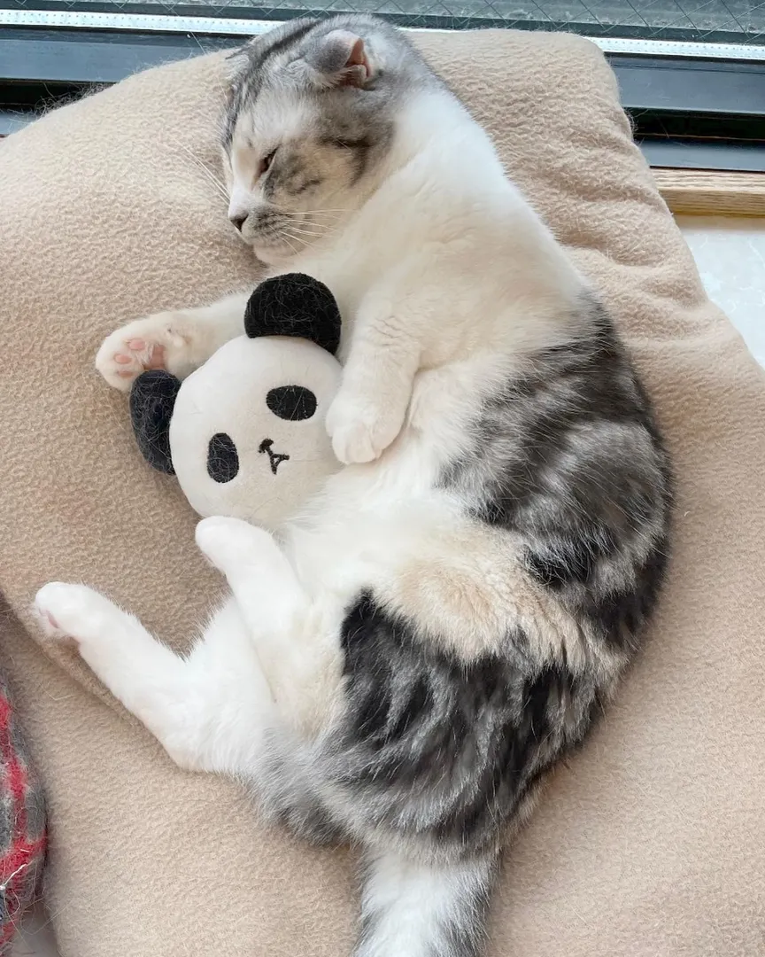 投稿の写真1