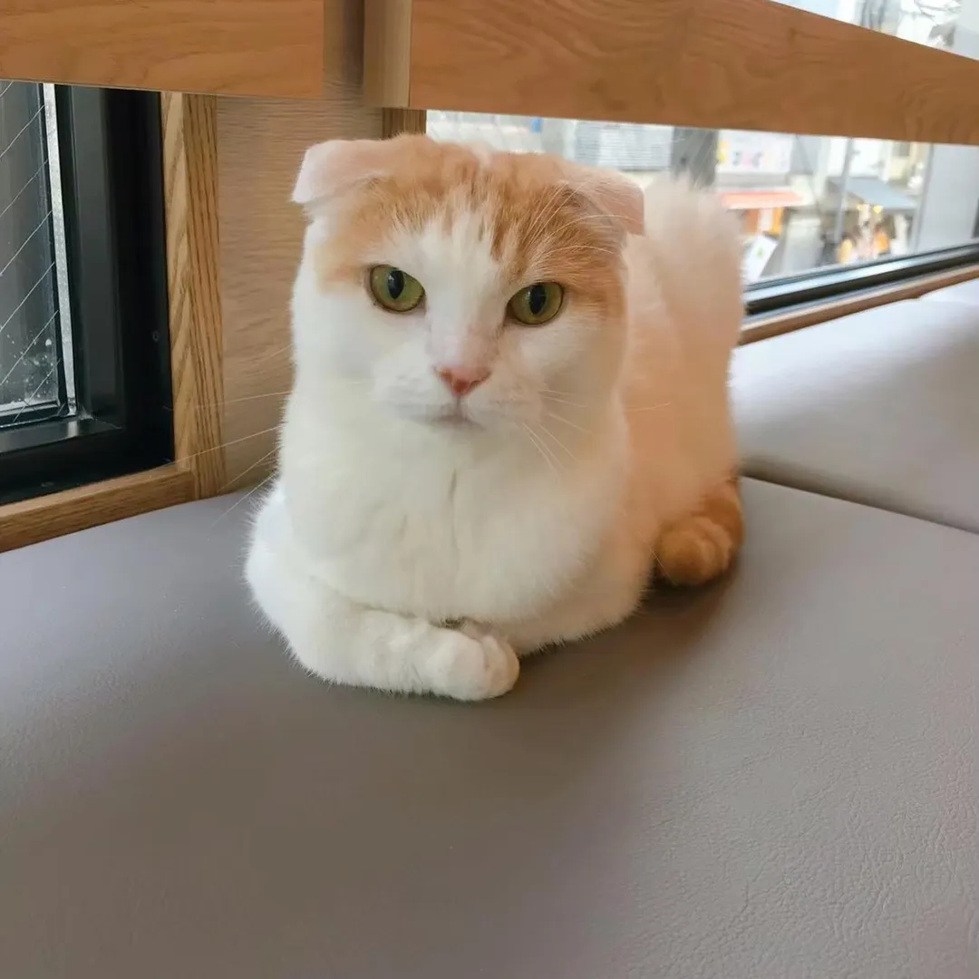 投稿の写真1