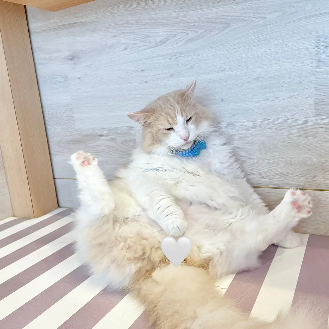 投稿の写真4