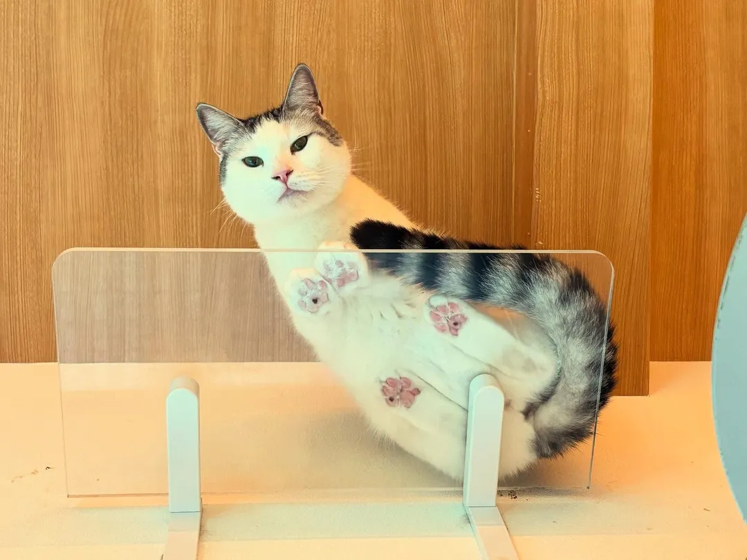 投稿の写真2