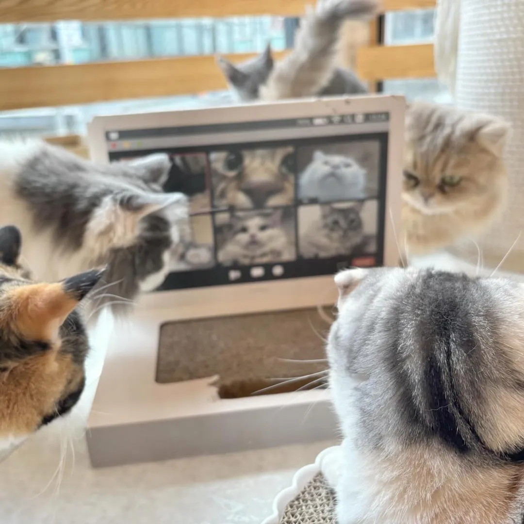 投稿の写真2