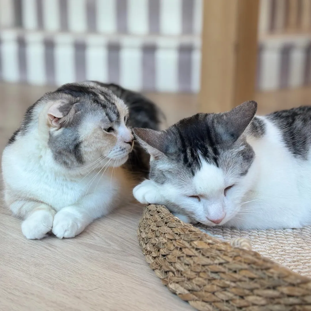 投稿の写真1