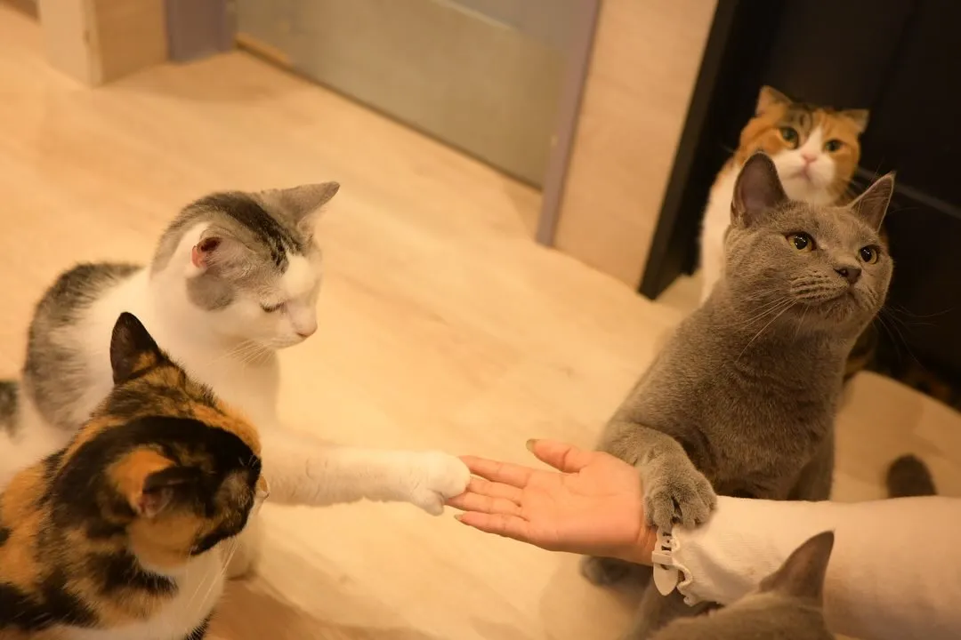 投稿の写真3