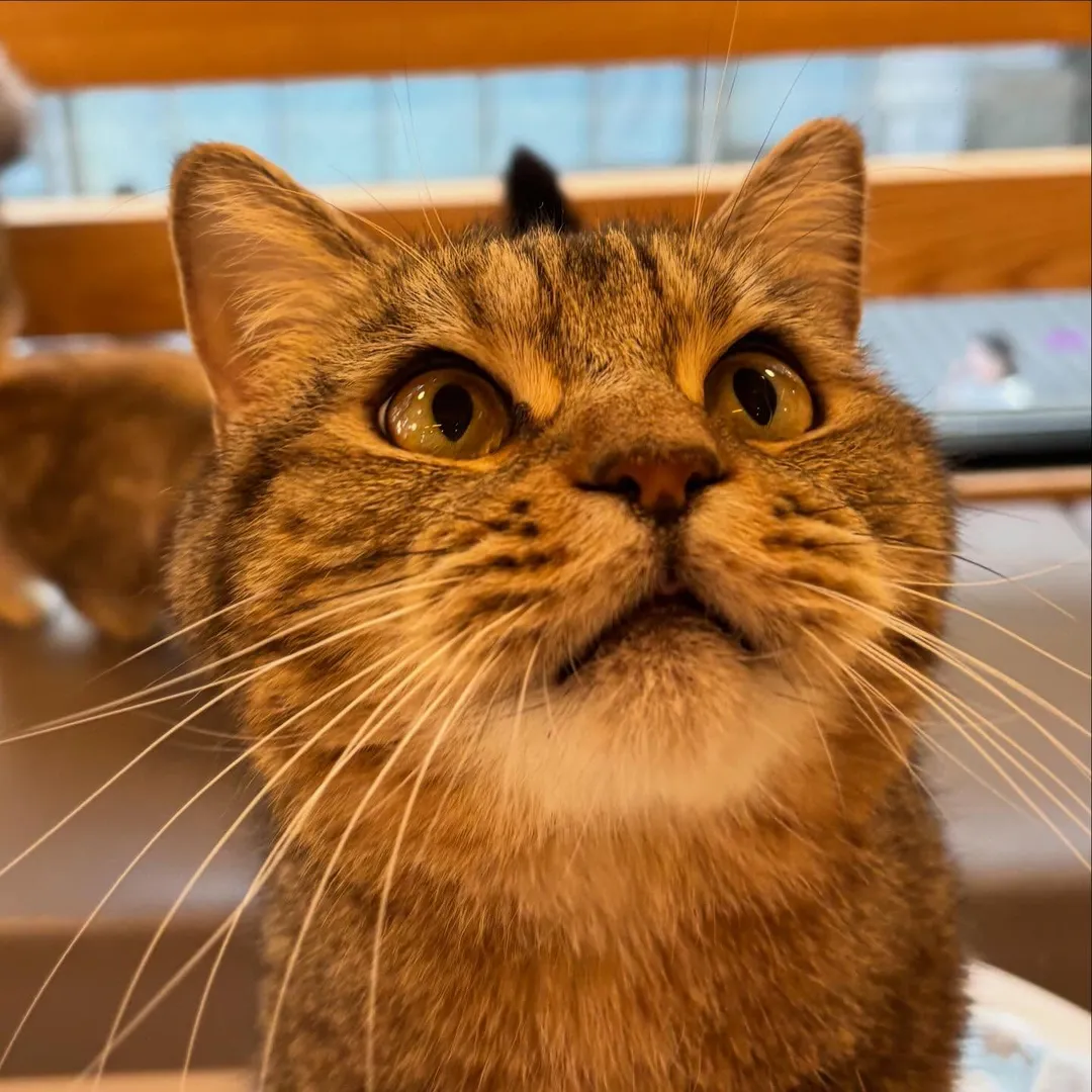投稿の写真3