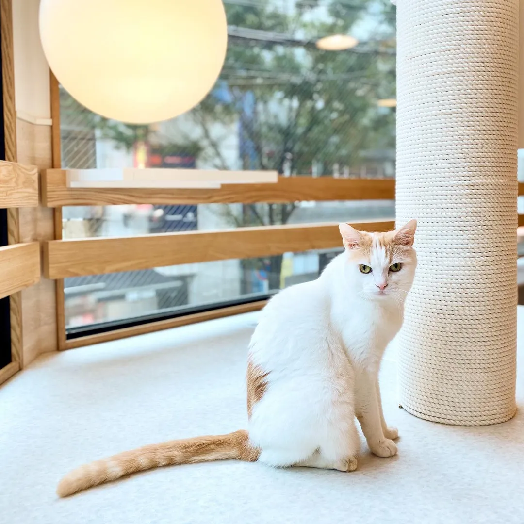 投稿の写真2