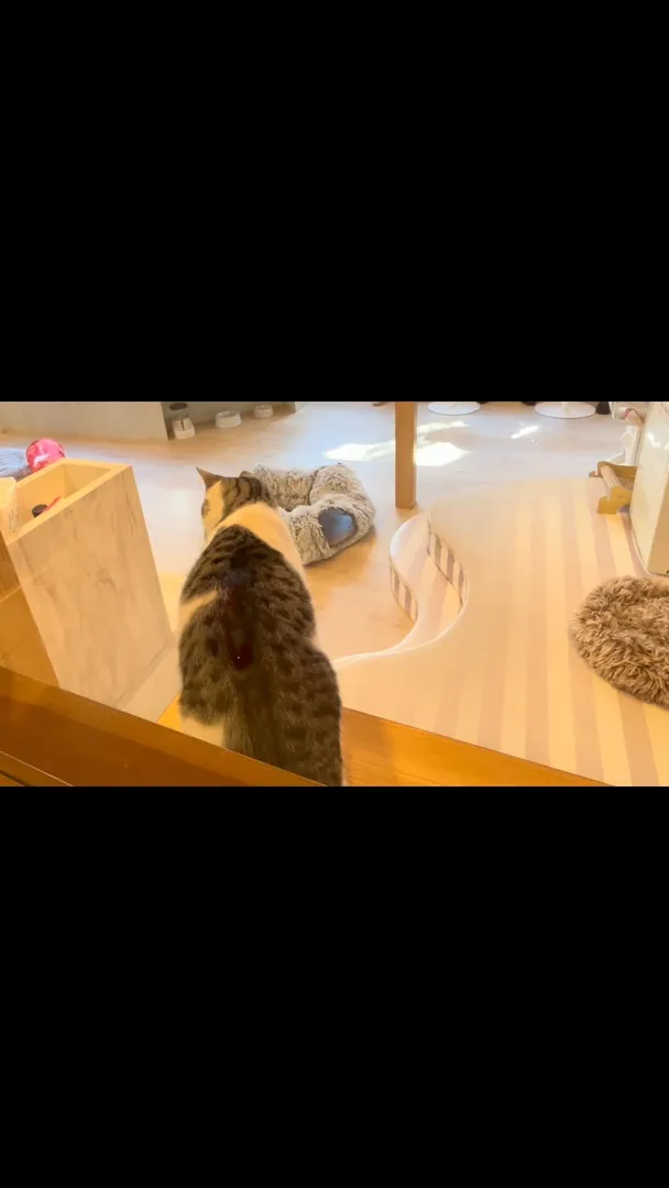 投稿の写真
