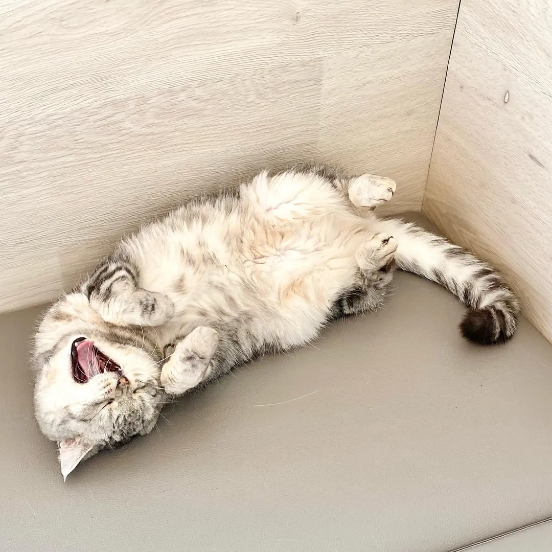 投稿の写真1