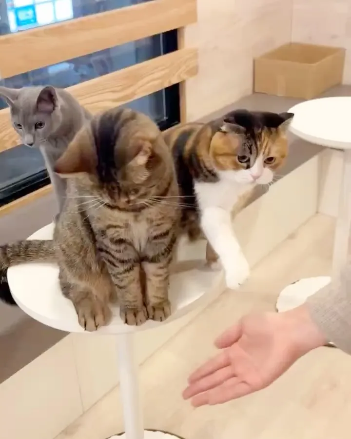 投稿の写真2