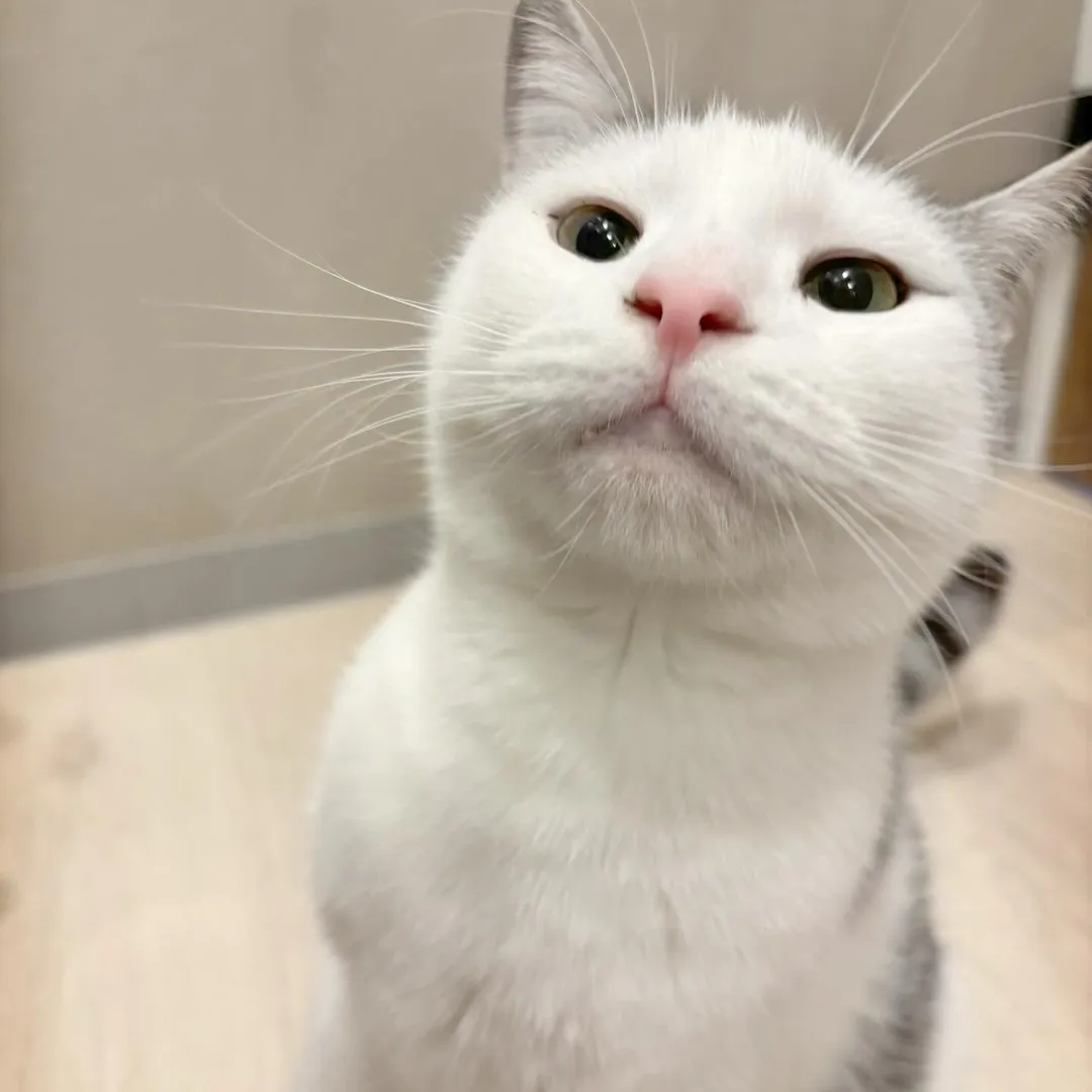 投稿の写真4