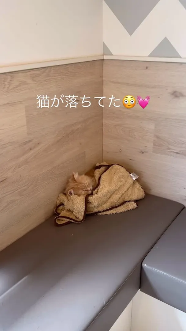投稿の写真
