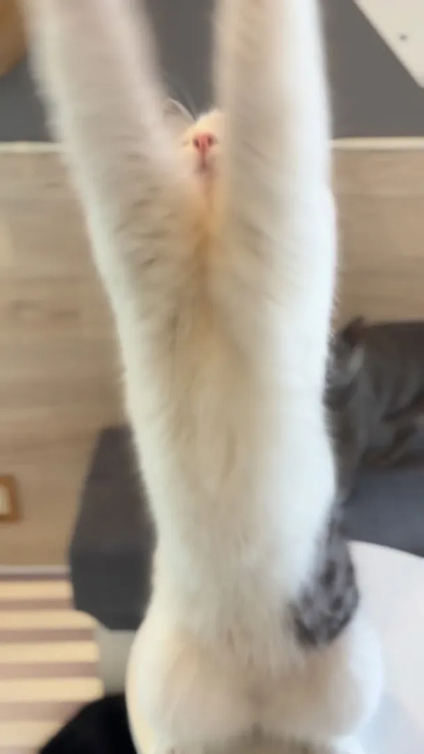 投稿の写真