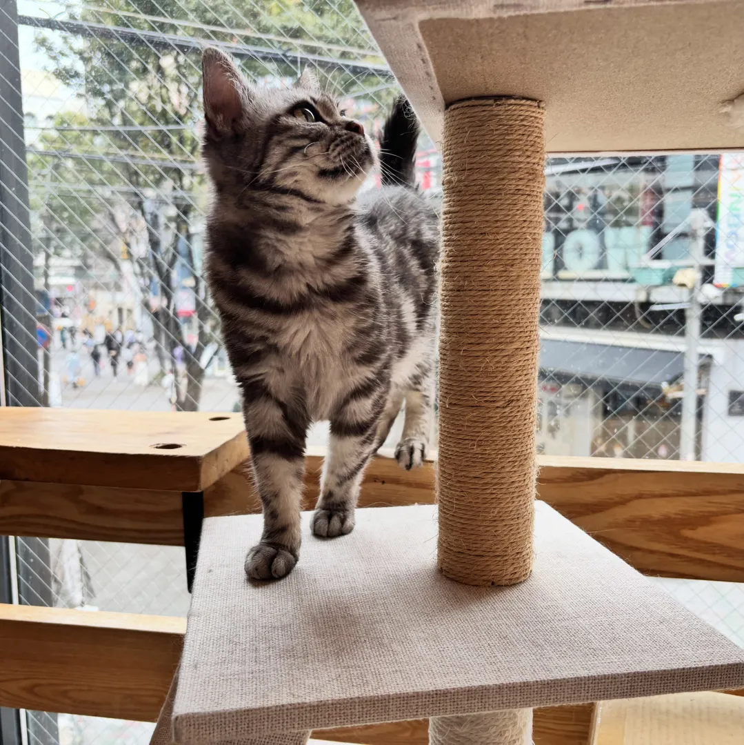 投稿の写真3
