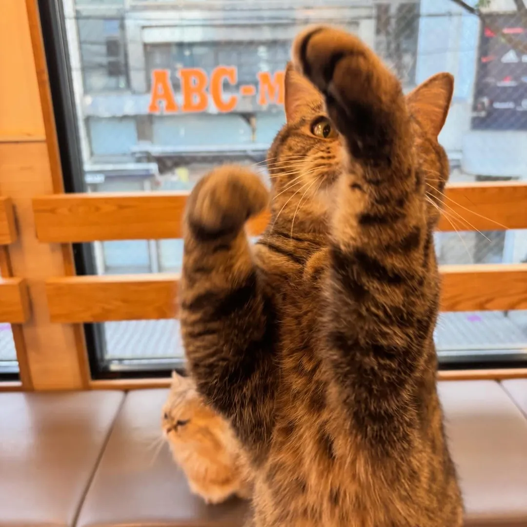 投稿の写真2