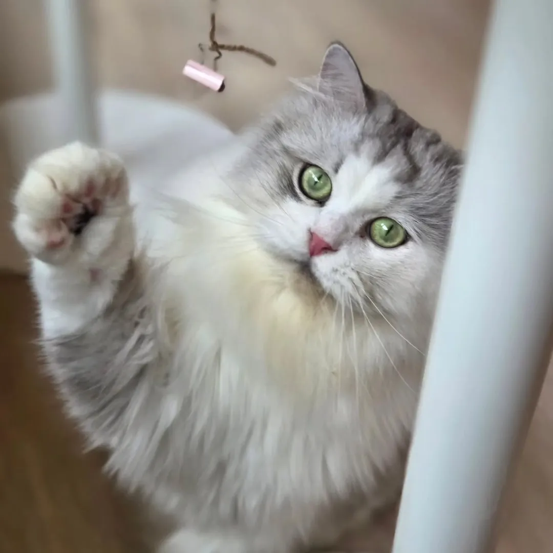 投稿の写真3