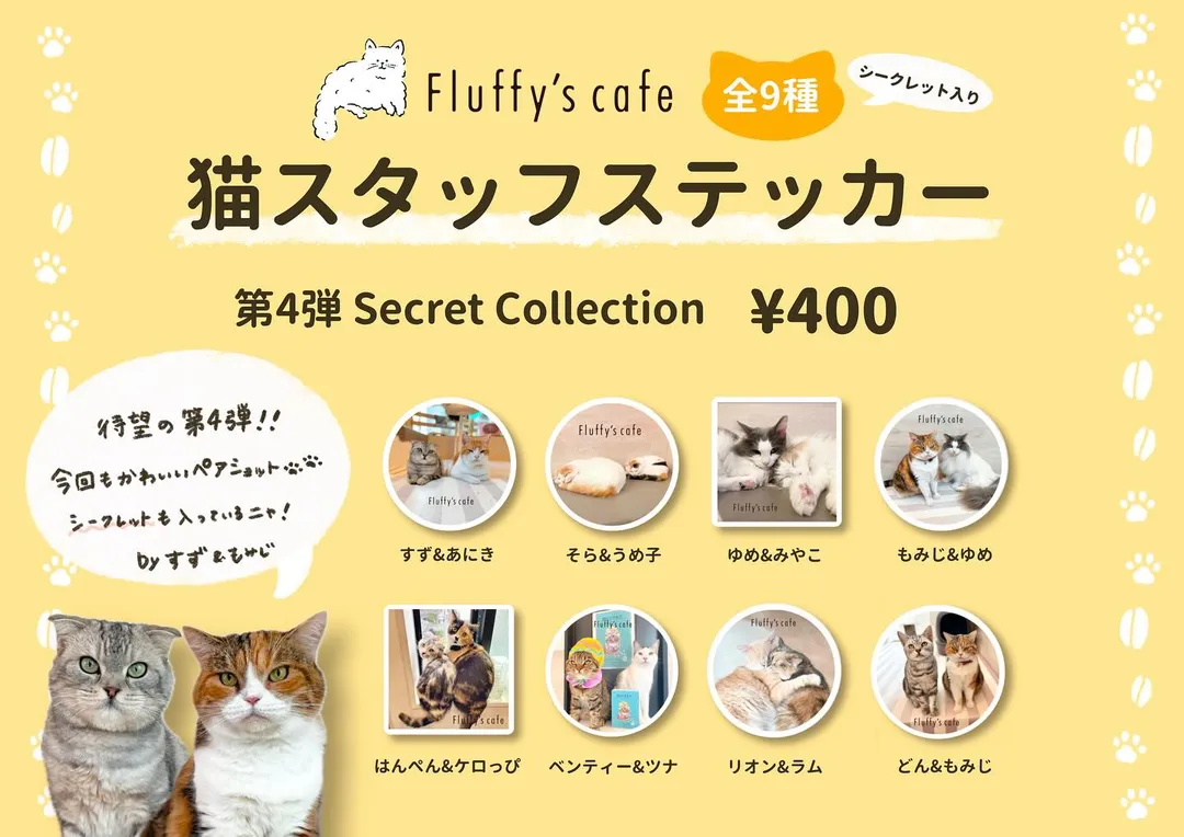 投稿の写真1