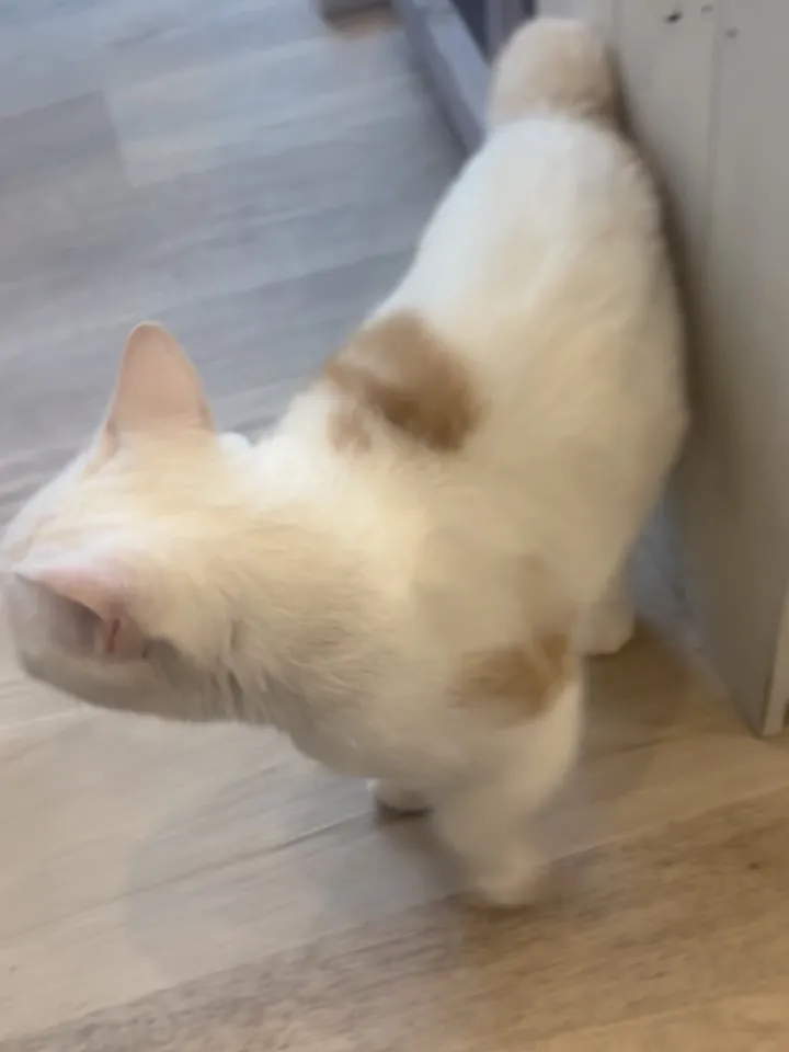 投稿の写真2