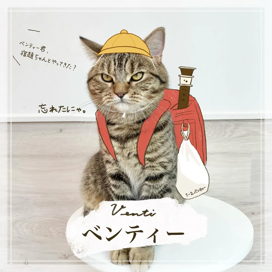 投稿の写真6