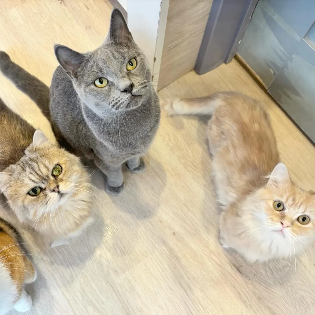 投稿の写真2