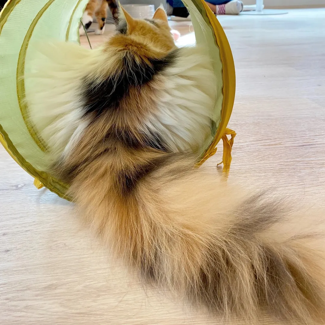 投稿の写真2