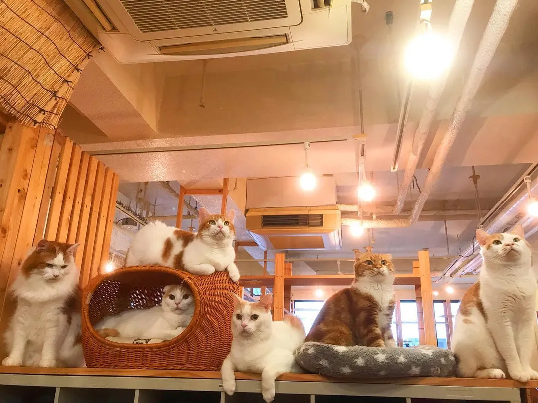 投稿の写真5