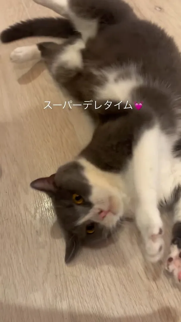 投稿の写真