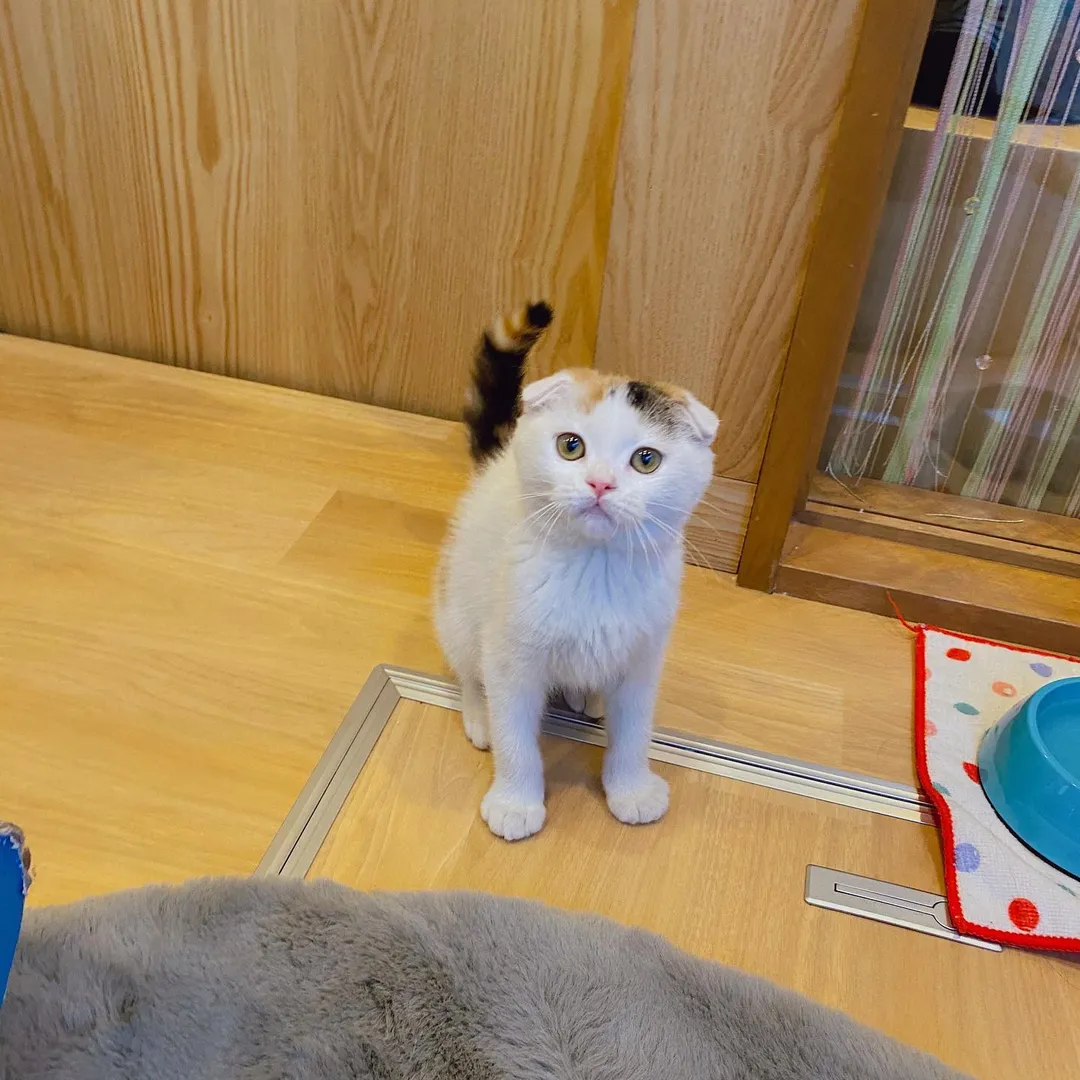 投稿の写真2