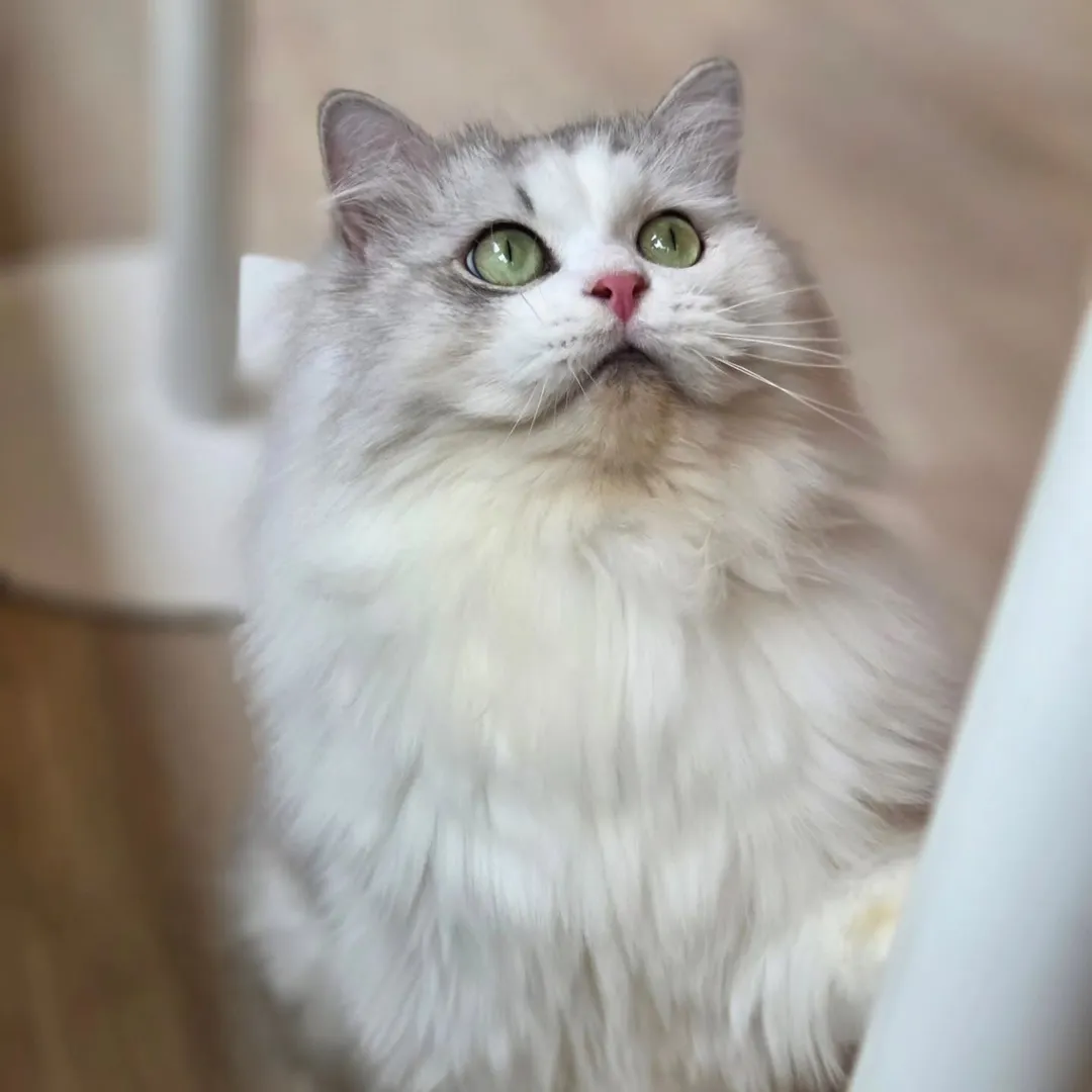 投稿の写真2