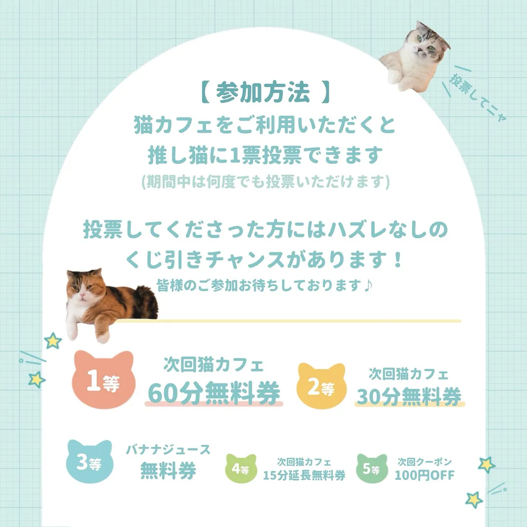 投稿の写真2
