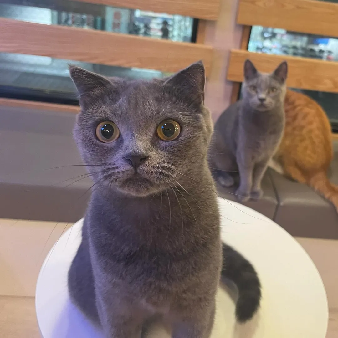 投稿の写真2