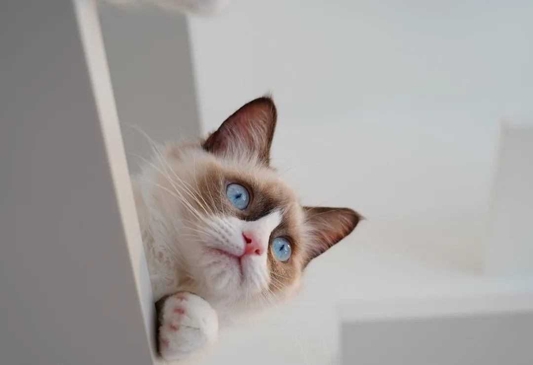 投稿の写真5