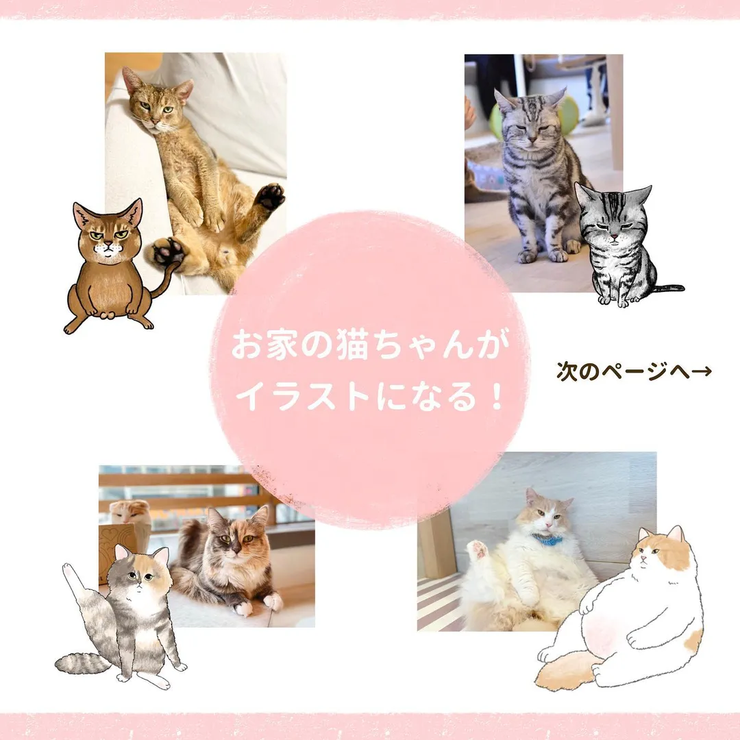 投稿の写真1