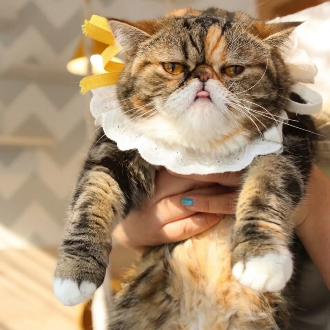 投稿の写真2