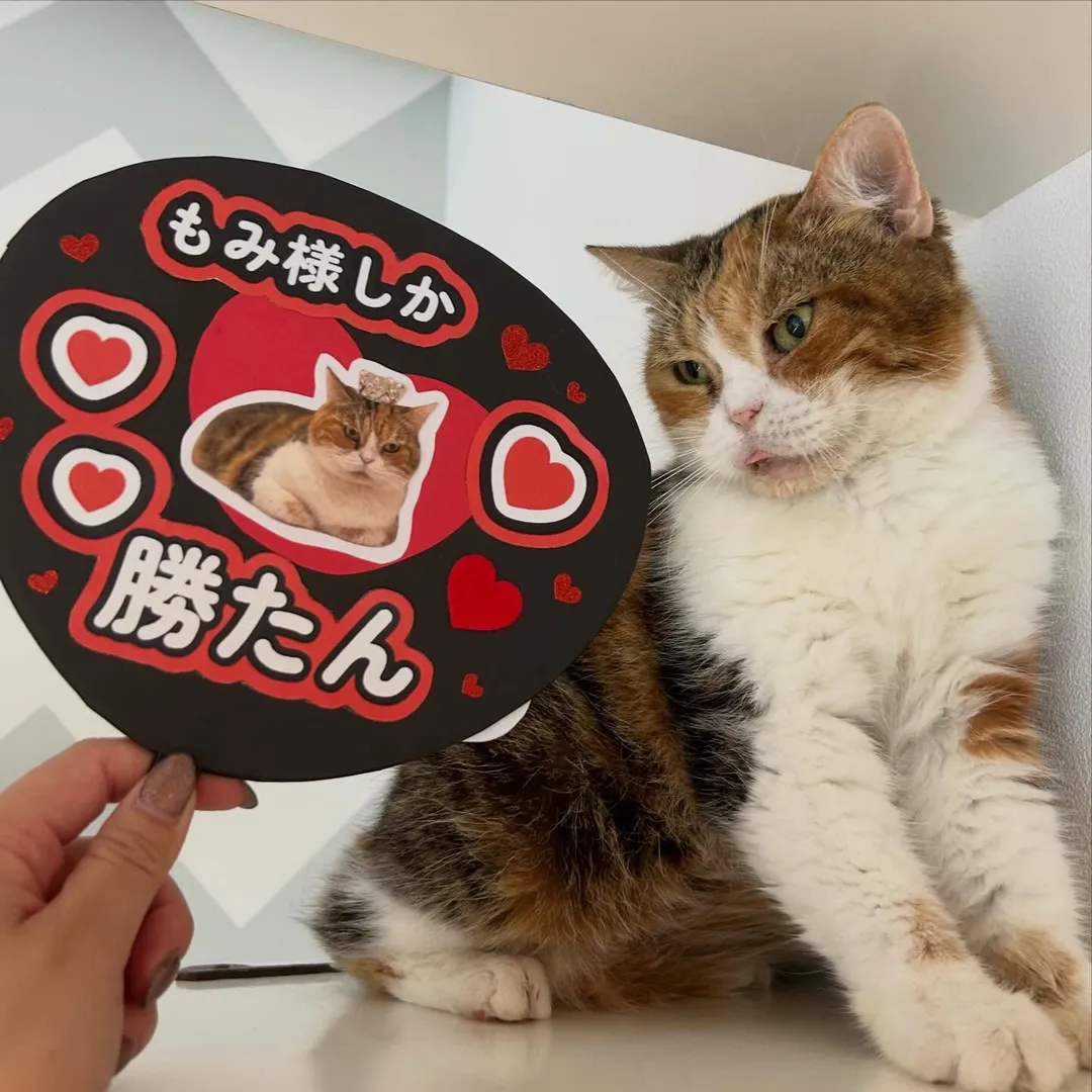 投稿の写真1