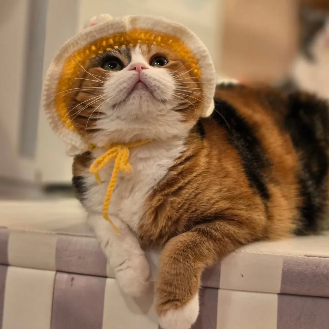 投稿の写真2