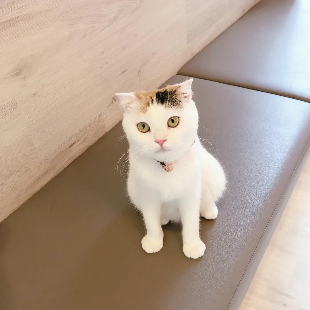 投稿の写真2