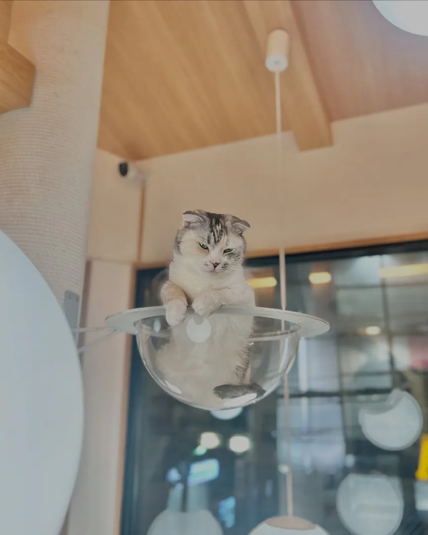 投稿の写真2
