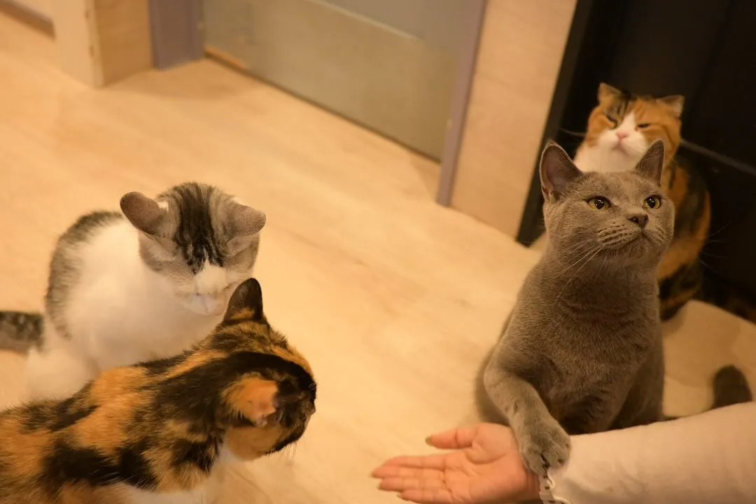 投稿の写真2