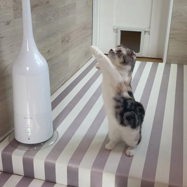 投稿の写真