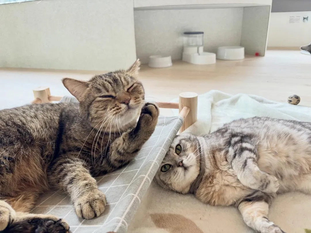 投稿の写真2