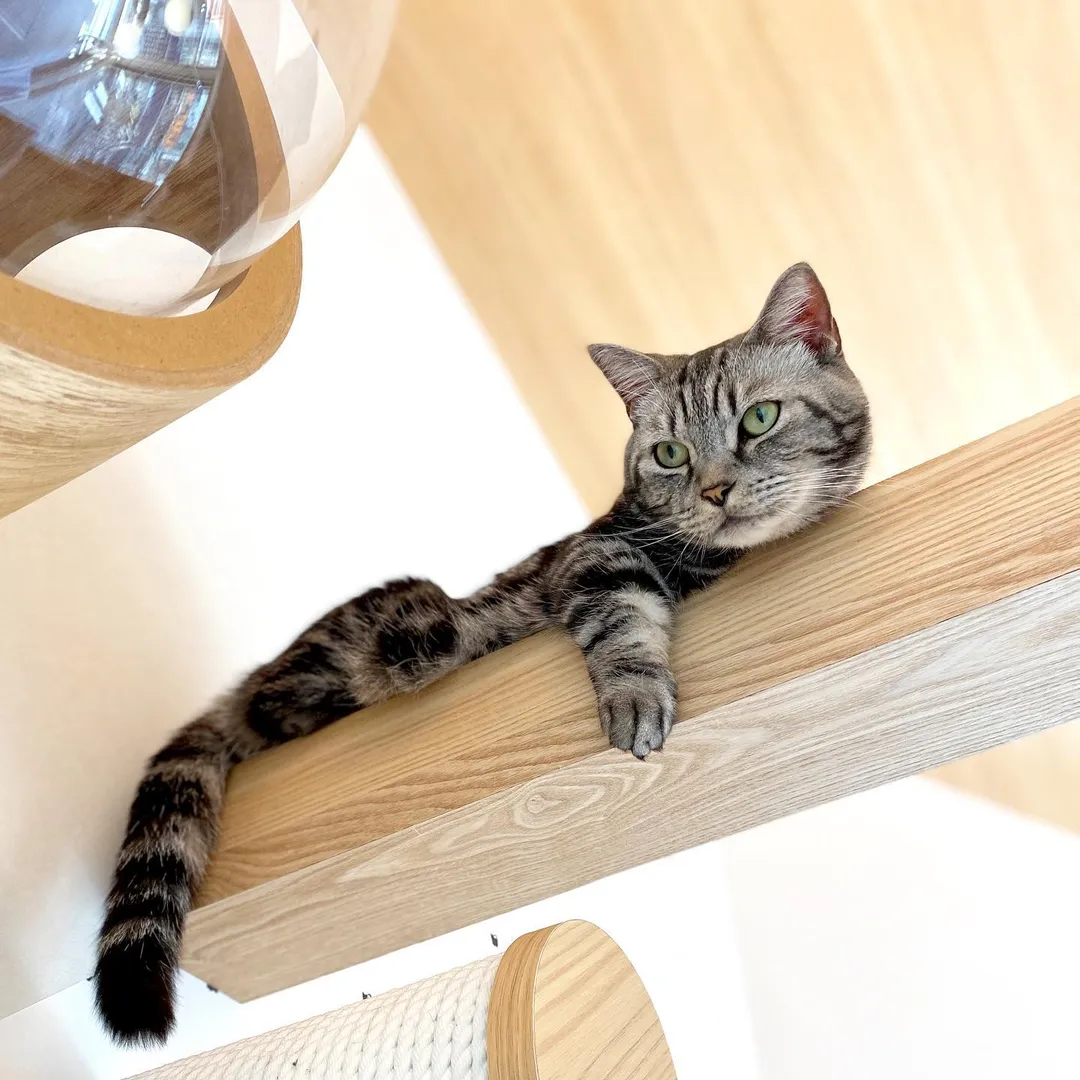 投稿の写真2