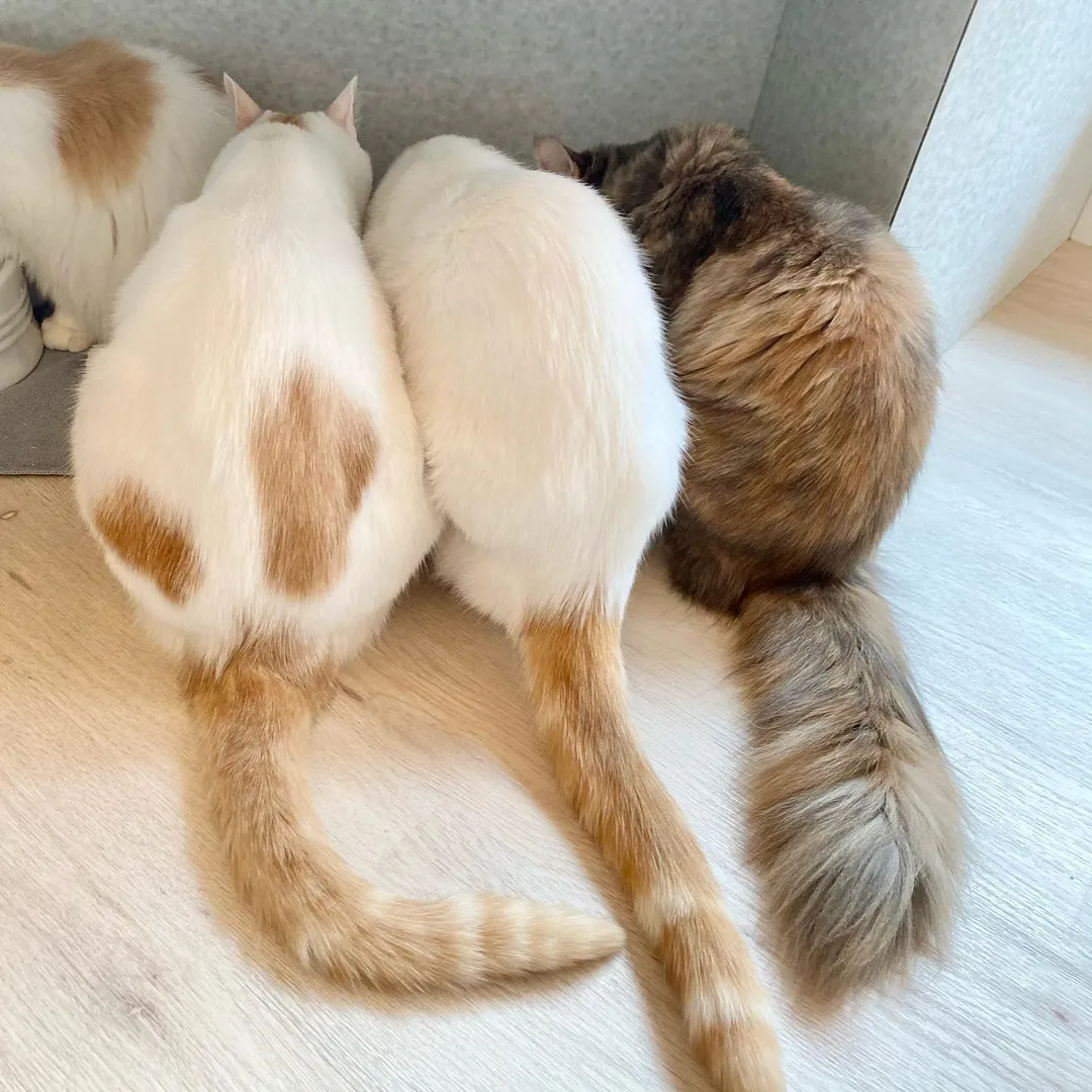 投稿の写真4