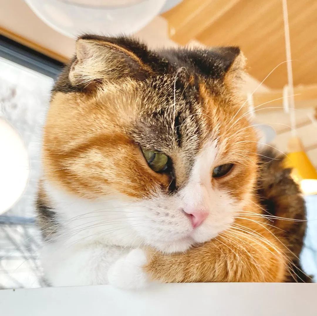 投稿の写真5