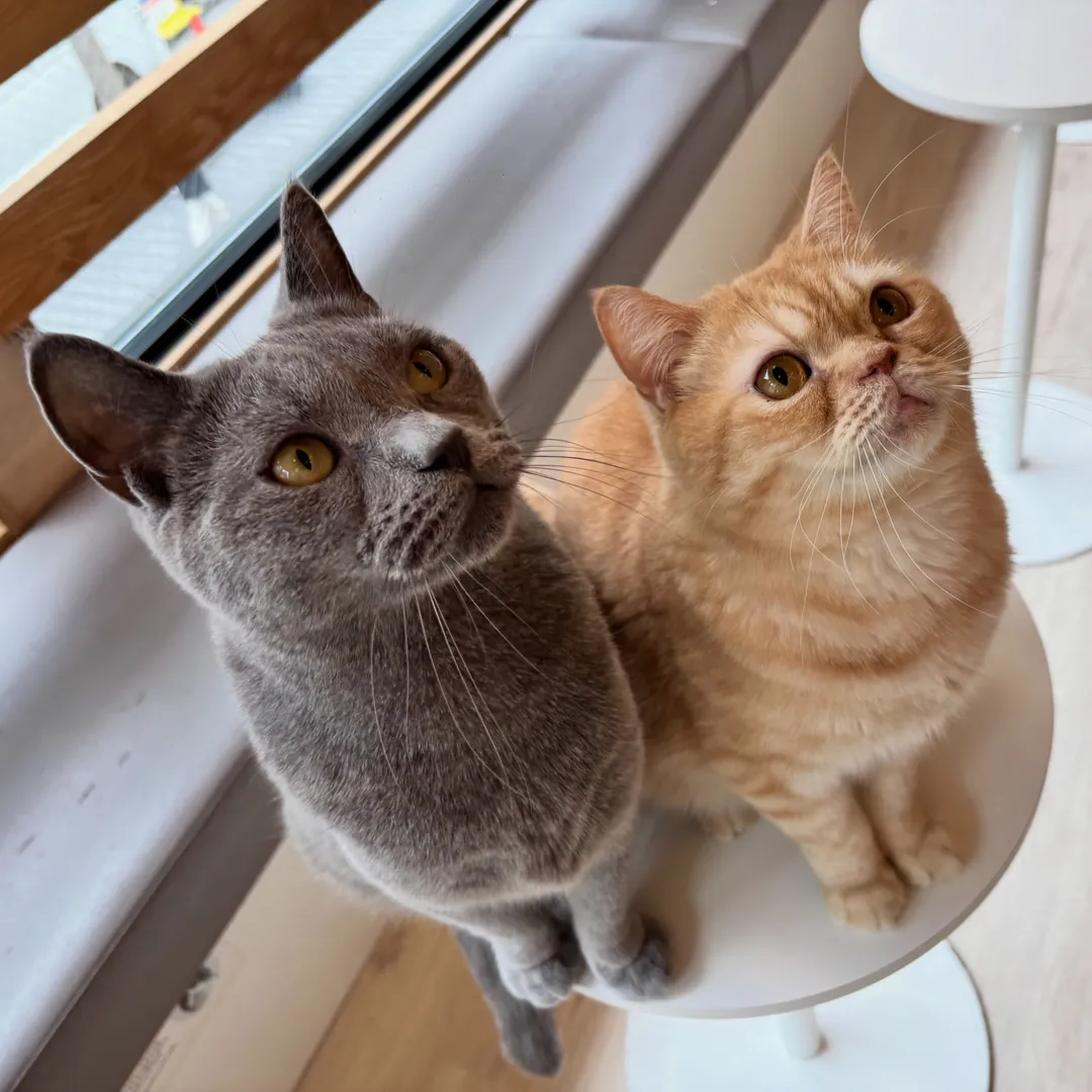 投稿の写真2