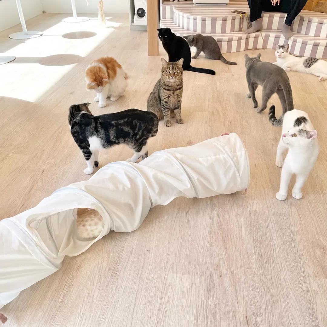 投稿の写真1