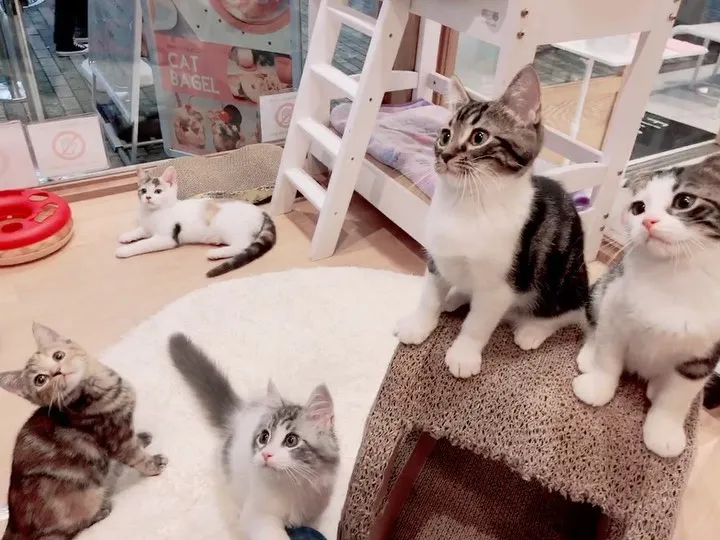 投稿の写真