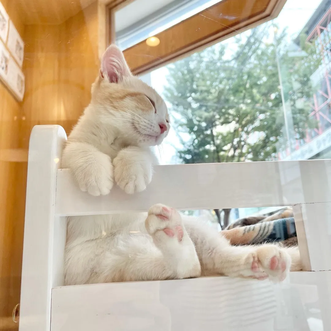 投稿の写真2